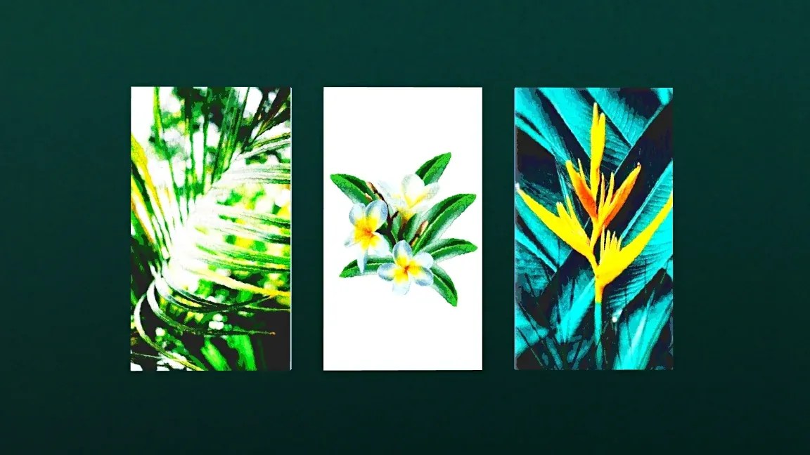 sims 4 paintings; gallery; sims 4; wall art; eevam;